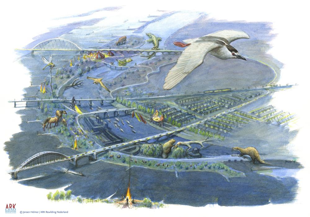 illustratie toekomstbeeld nevengeul Nijmegen bij nacht